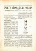 Gaceta Medica de La Habana - No 6 - 1879